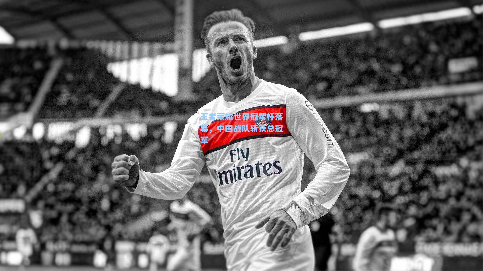 王者荣耀世界冠军杯落幕,中国战队斩获总冠军