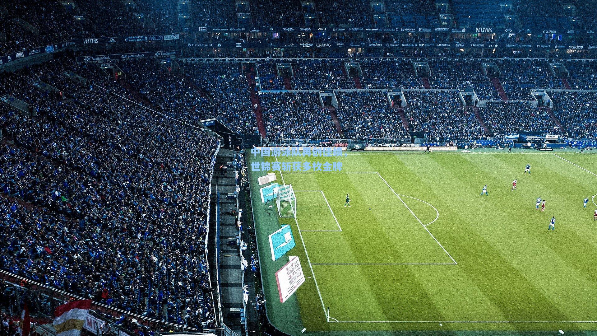 中国游泳队再创佳绩,世锦赛斩获多枚金牌